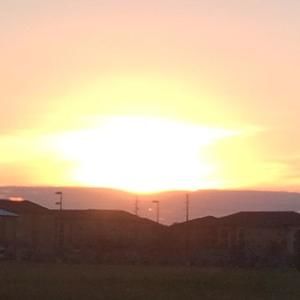 Meet your Posher, Shazia